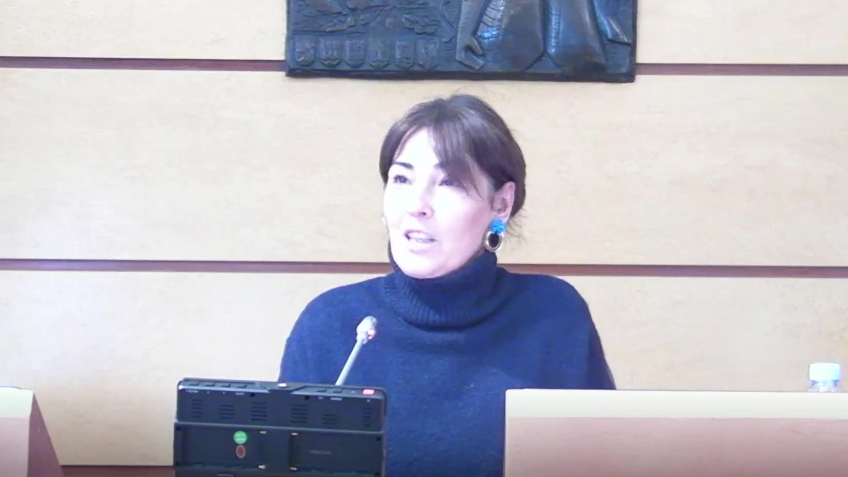 Begoña Gil. Comisión de Empleo, Inclusión Social e Igualdad. Violencia de género digital